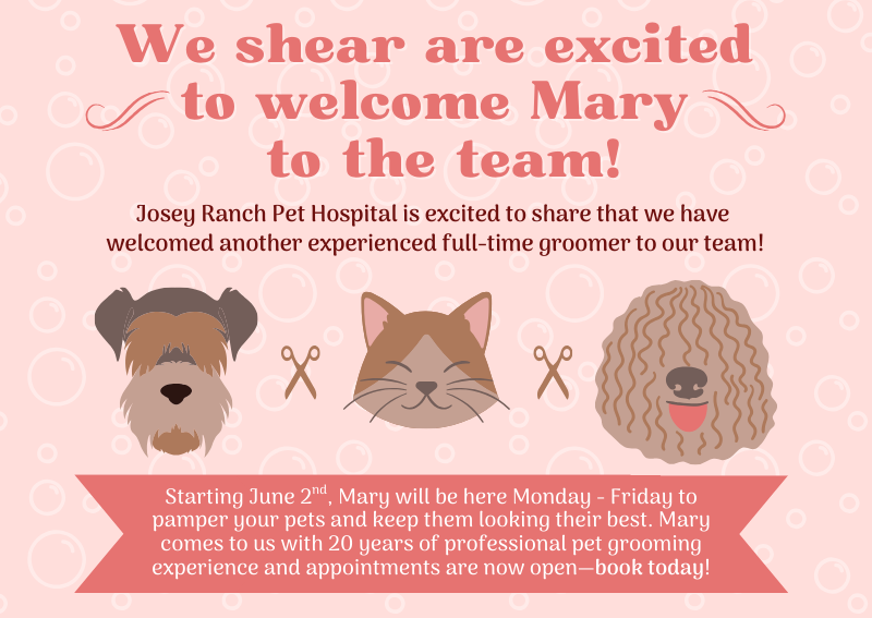 Carousel Slide 3: Welcome, Mary!