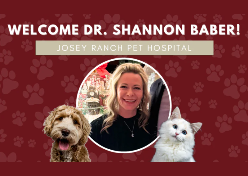 Carousel Slide 5: With over 24 years of experience, we're excited to welcome Dr. Shannon!